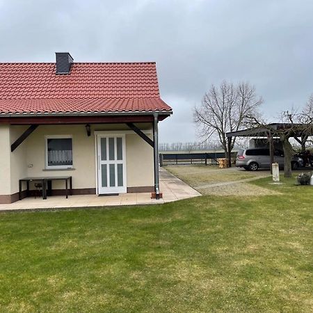 Ferienhaus Altenhof Mueritz 外观 照片